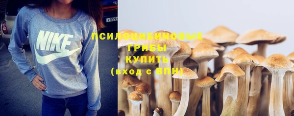 a pvp Белоозёрский