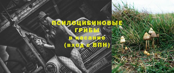 дмт Баксан