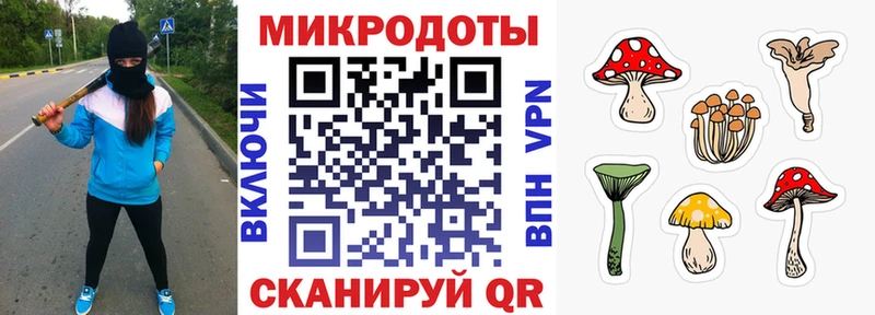 Купить где  Жуков  Галлюциногенные грибы MAGIC MUSHROOMS 